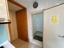 Amber Residences (D15), Condominium #481127841